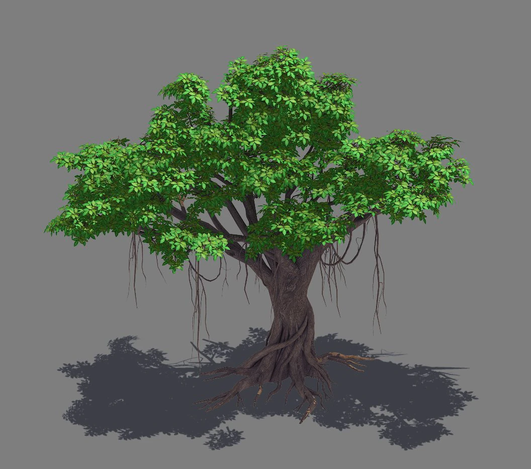 planta - figueira-da-&iacute;ndia 14 Modelo 3D .c4d .max .obj .3ds .fbx .stl .blend 