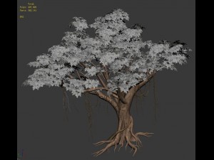 plant - banyan tree 14 3D Model