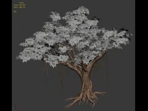 planta - figueira-da-&iacute;ndia 14 Modelo 3D