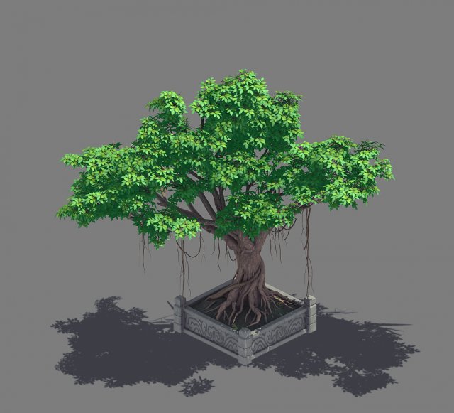 plant - banyan tree 15 3Dモデル .c4d .max .obj .3ds .fbx .stl .blend 