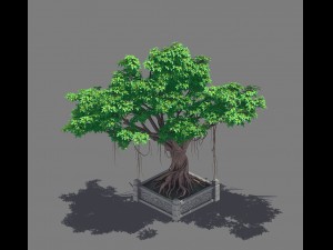 plant - banyan tree 15 3D Модель