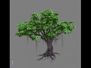 plant - banyan tree 15 3Dモデル