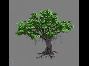 plant - banyan tree 15 3D Model