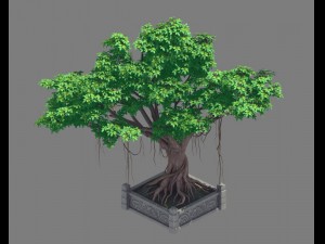 plant - banyan tree 15 3Dモデル