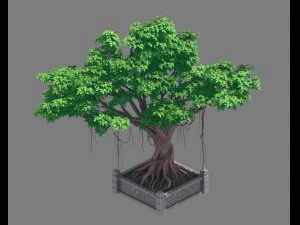 plant - banyan tree 15 3D Model