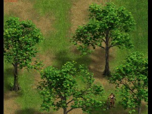 planta - &aacute;rvore 16 Modelo 3D