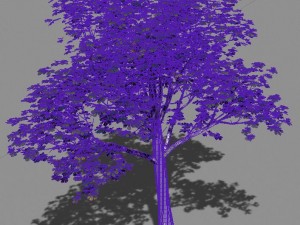 plant - tree 16 3D Model
