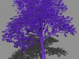 plant - tree 16 3D Model