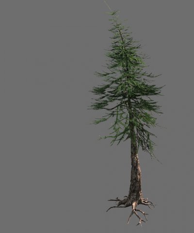 game model - alpine - pines 02 3D मॉडल .c4d .max .obj .3ds .fbx .stl .blend 