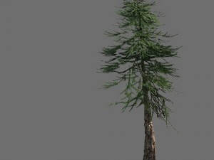 game model - alpine - pines 02 3D Model