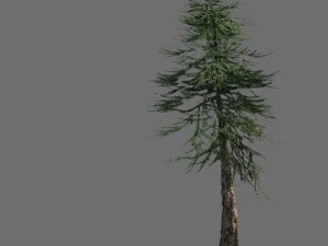 modelo de juego - alpino - pinos 02 Modelo 3D