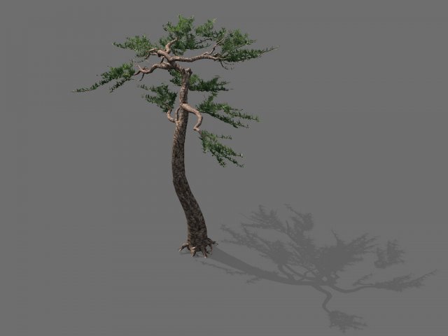 game model - alpine - pine 03 3D Model .c4d .max .obj .3ds .fbx .stl .blend 