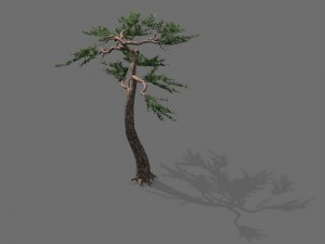 game model - alpine - pine 03 3D Модель