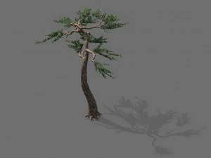 modello di gioco - alpino - pino 03 Modello 3D