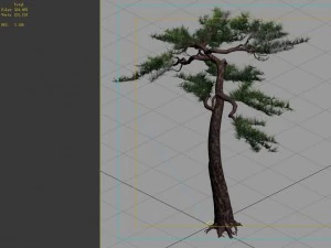 game model - alpine - pine 03 3D Model