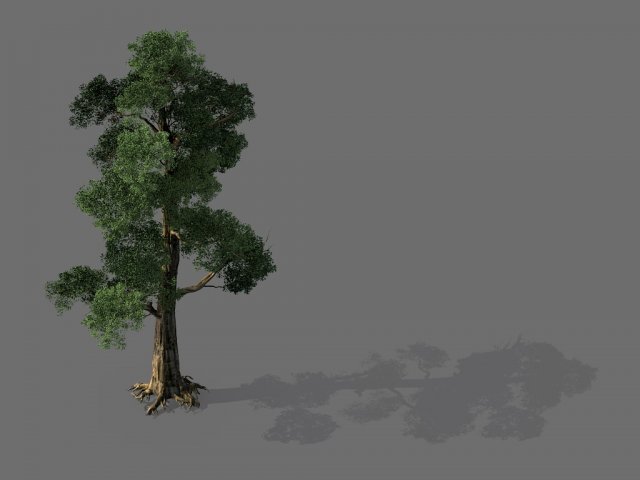 game model - alpine - pine 05 3D-Modell .c4d .max .obj .3ds .fbx .stl .blend 