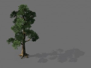 game model - alpine - pine 05 3D Модель