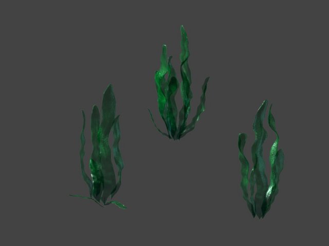 game model - seabed - kelp 3D Model .c4d .max .obj .3ds .fbx .stl .blend 