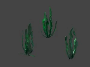game model - seabed - kelp 3D Model