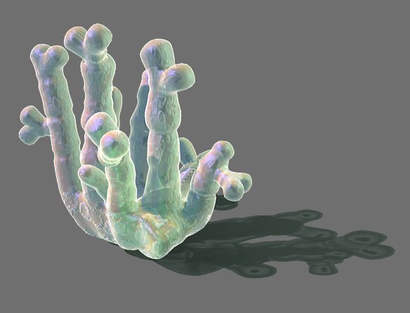 game model - seabed - coral 02 3D-Modell .c4d .max .obj .3ds .fbx .stl .blend 