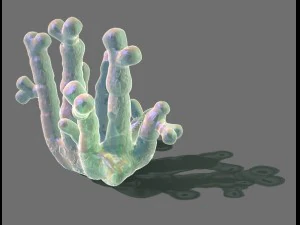 modelo de jogo - fundo do mar - coral 02 Modelo 3D