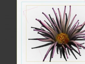 game model - seabed - biology 3D Model