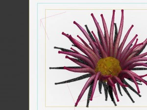game model - seabed - biology 3D Model