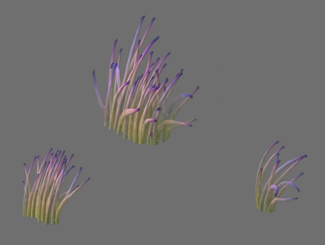 game model - seabed - bio 02 3D Модель .c4d .max .obj .3ds .fbx .stl .blend 