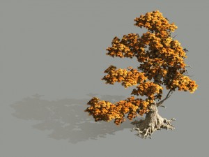 game model - forest - maple 2 3D Модель