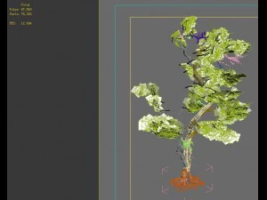 game model - forest - maple 2 3D Model
