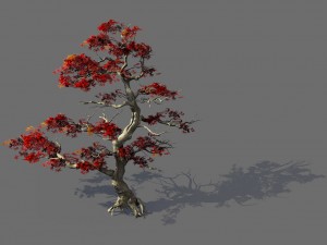 game model - forest - maple tree 3 3D Модель