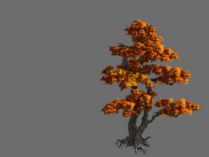 game model - forest - maple 4 3D Модель