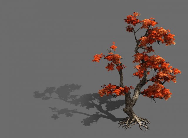 game model - forest - maple 5 Modello 3D .c4d .max .obj .3ds .fbx .stl .blend 