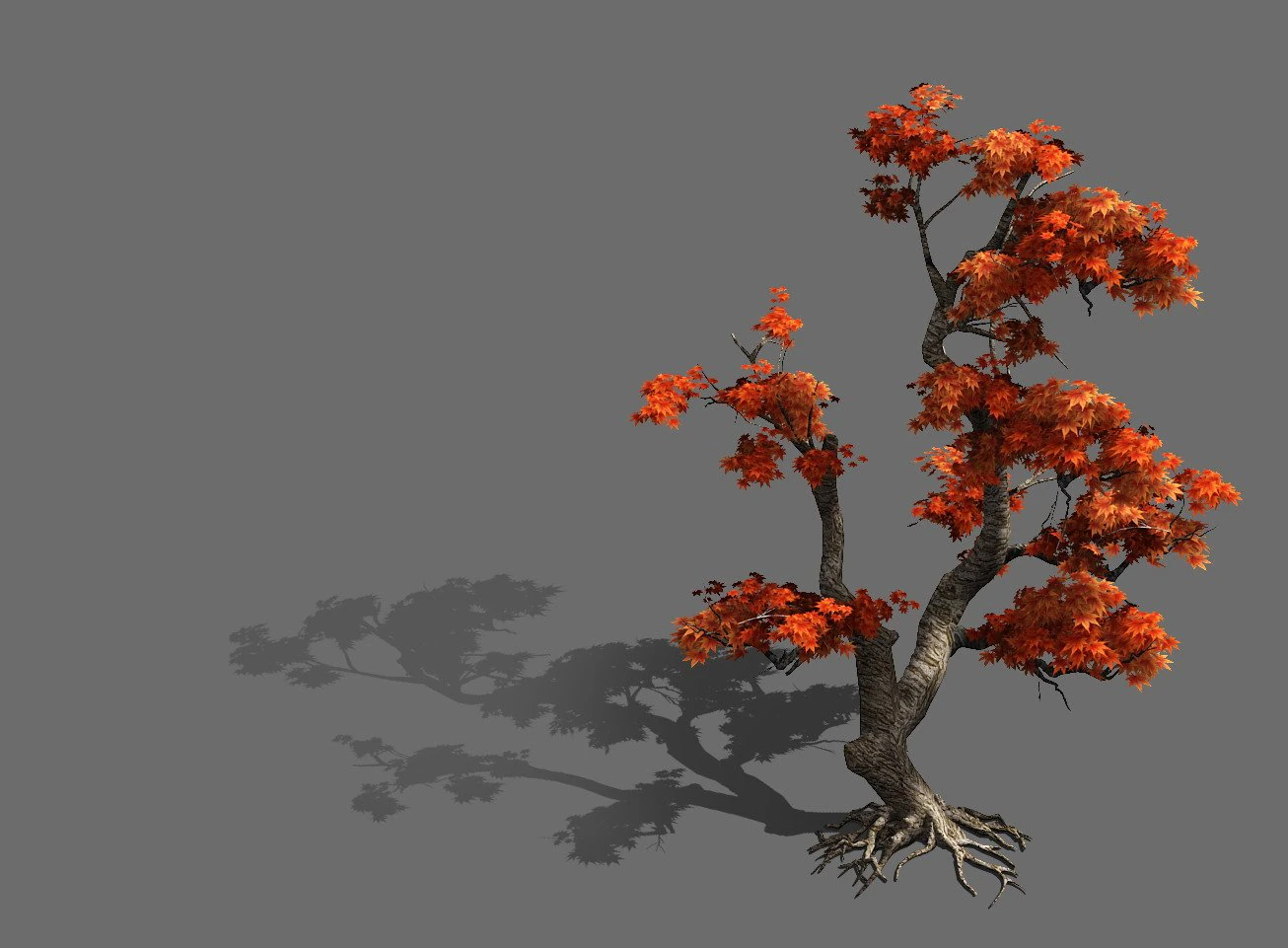 game model - forest - maple 5 3D Model .c4d .max .obj .3ds .fbx .stl .blend 