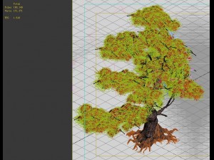 game model - forest - maple 5 Modello 3D