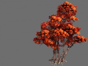 game model - forest - maple tree 7 3D Model