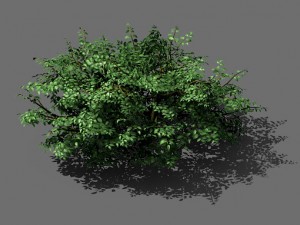 game model - forest - shrubs 01 3D Модель