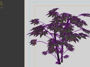 game models - forest - shrubs 03 3D Model