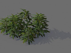 game model - forest - shrubs 04 3D Модель