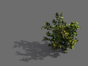 game models - forest - shrubs 05 3D Модель