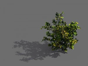 Spielmodelle - Wald - Str&auml;ucher 05 3D Modell