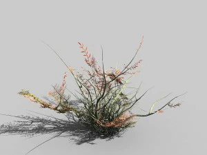 Spielmodelle - Wald - Str&auml;ucher 06 3D Modell