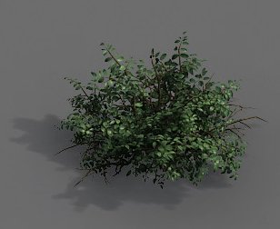 game models - forest - shrubs 07 3D Model .c4d .max .obj .3ds .fbx .stl .blend 
