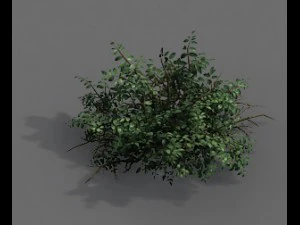 Spielmodelle - Wald - Str&auml;ucher 07 3D Modell