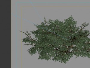 game models - forest - shrubs 07 3D Model