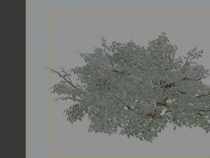 game models - forest - shrubs 07 3D Model