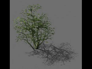 Spielmodell - Wald - Str&auml;ucher 08 3D Modell