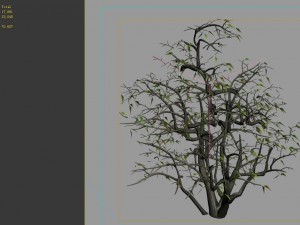 game model - forest - shrubs 08 Modelo 3D