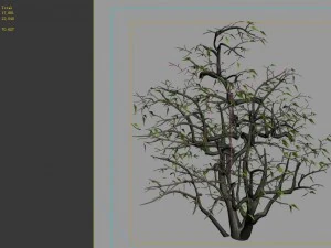 game model - forest - shrubs 08 3D Model