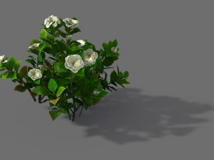 game model - forest - shrub 09 3D Модель